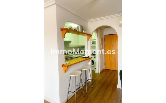 Wiederverkauf - Wohnung - Orihuela - Mil Palmeras