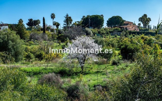 Bestaande woning - Grond - Estepona  - New Golden Mile