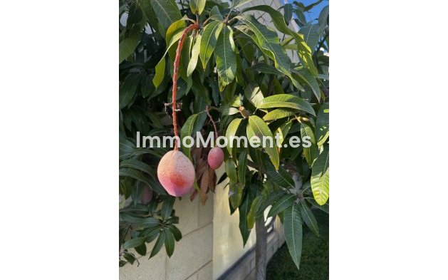 Wiederverkauf - Wohnung - Marbella - Altos de los Monteros