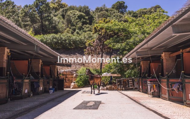 Bestaande woning - Grond - Benahavís - Benahavís Centro