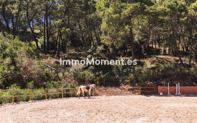 Bestaande woning - Grond - Benahavís - Benahavís Centro