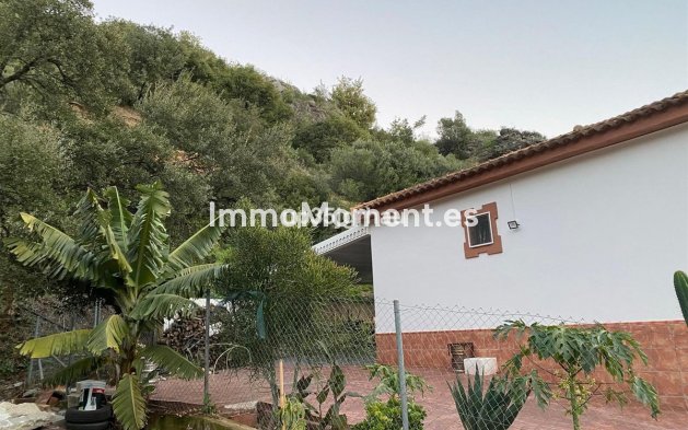 Bestaande woning - Villa - Estepona  - Estepona Centro