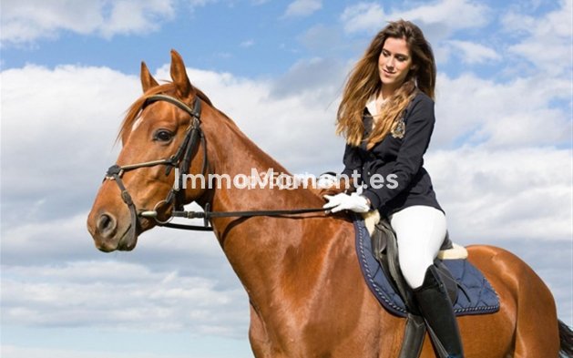 Revente - Appartement - Estepona  - Selwo