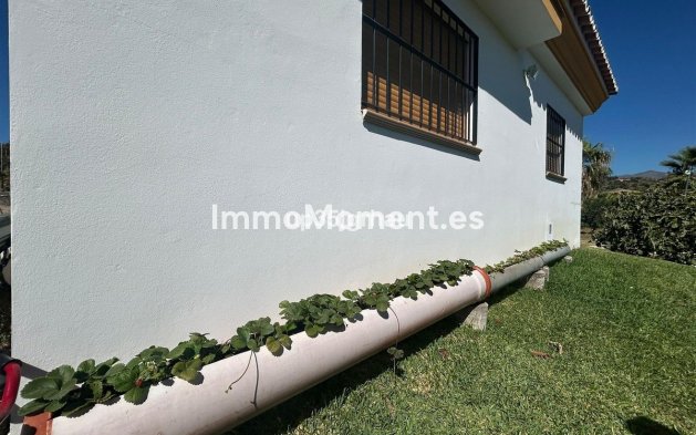 Wiederverkauf - Landhaus - Estepona  - Estepona Centro