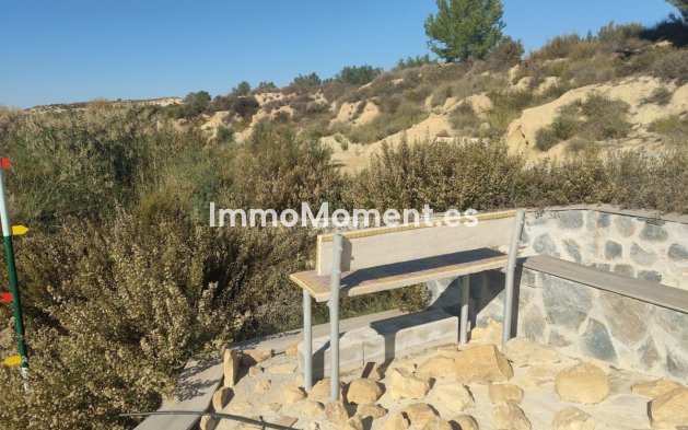 Wiederverkauf - Land - Orihuela - Torremendo
