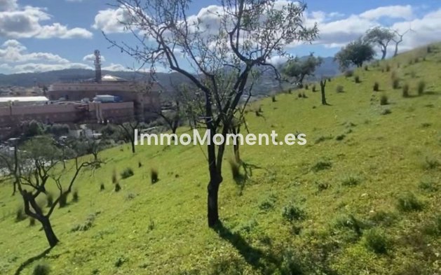 Revente - Terrain - Intérieur                       - Coín