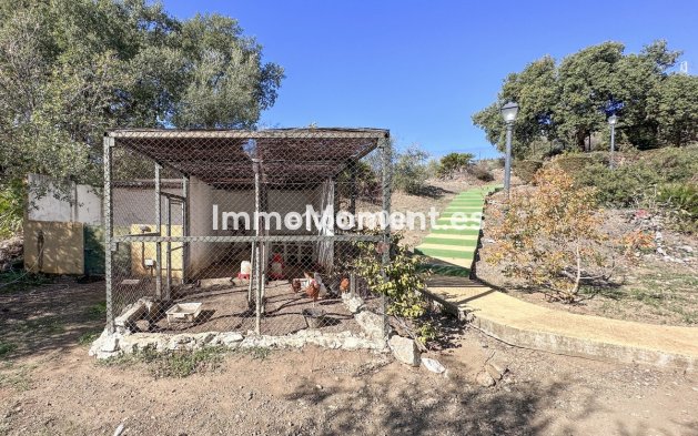 Revente - Maison de campagne - Intérieur                       - Ojén