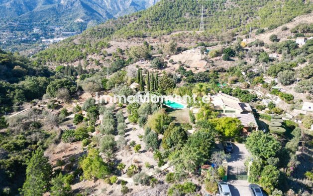 Revente - Maison de campagne - Intérieur                       - Ojén