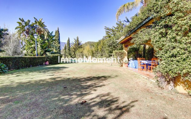 Revente - Maison de campagne - Intérieur                       - Ojén