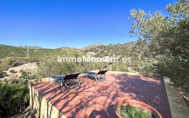 Revente - Maison de campagne - Intérieur                       - Ojén