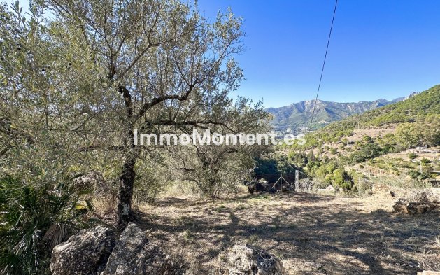 Revente - Maison de campagne - Intérieur                       - Ojén
