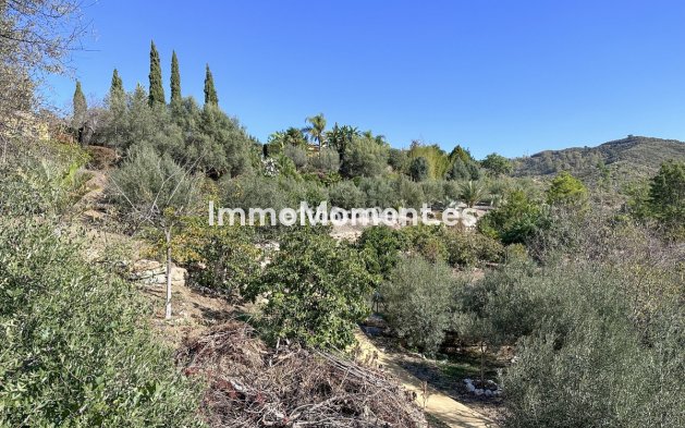 Revente - Maison de campagne - Intérieur                       - Ojén