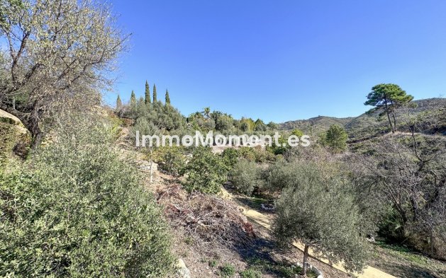 Revente - Maison de campagne - Intérieur                       - Ojén