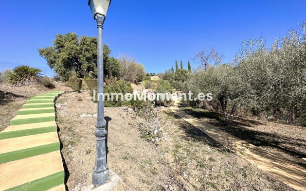 Revente - Maison de campagne - Intérieur                       - Ojén
