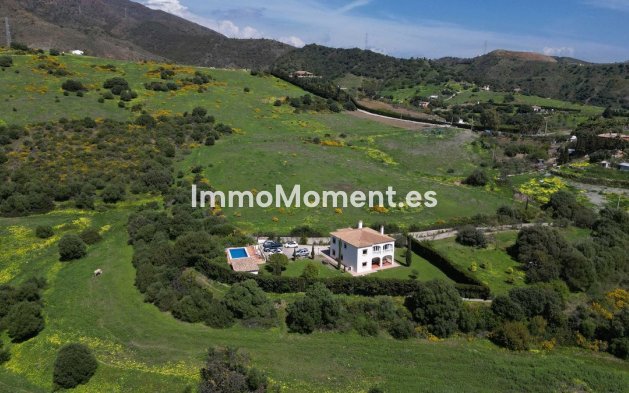 Revente - Villa - Estepona  - Estepona Centro