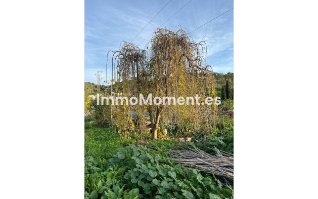 Revente - Maison de campagne - Málaga - Campanillas