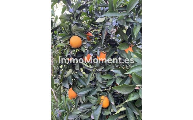 Revente - Maison de campagne - Málaga - Campanillas