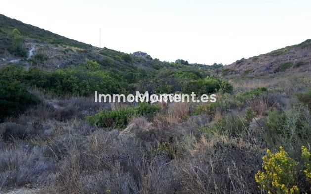 Wiederverkauf - Landhaus - Casares - Casares Centro
