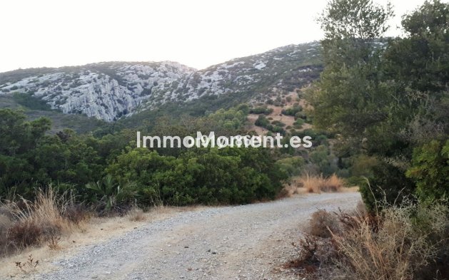 Wiederverkauf - Landhaus - Casares - Casares Centro