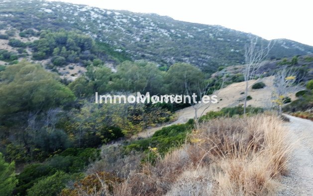 Wiederverkauf - Landhaus - Casares - Casares Centro