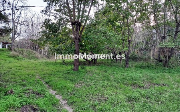 Wiederverkauf - Landhaus - Casares - Casares Centro