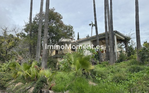 Wiederverkauf - Land - Marbella - Nagüeles