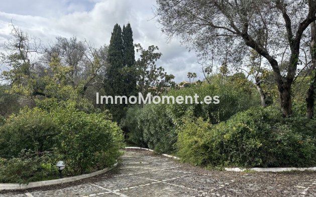 Wiederverkauf - Land - Marbella - Nagüeles