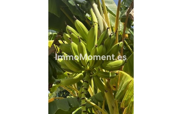 Revente - Villa - Estepona  - Estepona Centro