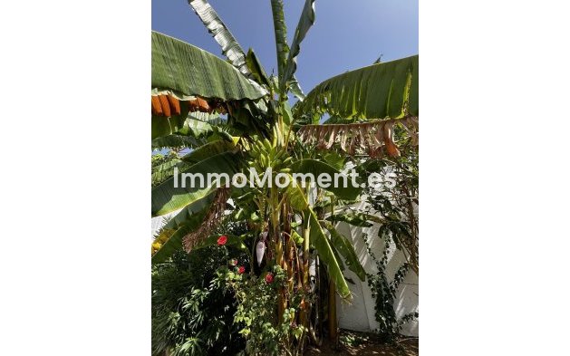 Revente - Villa - Estepona  - Estepona Centro