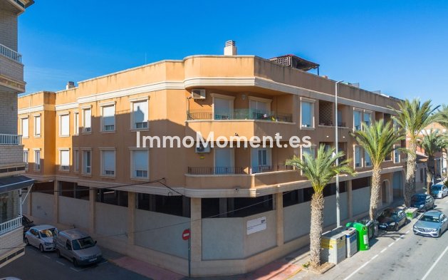 Resale - Apartment - Los Montesinos - Los Montesinos Centro