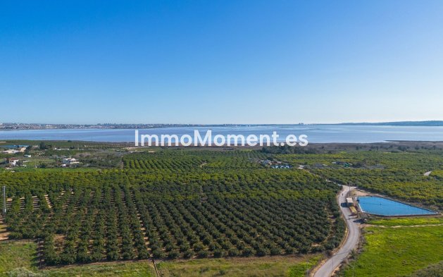 Resale - Apartment - Los Montesinos - Los Montesinos Centro