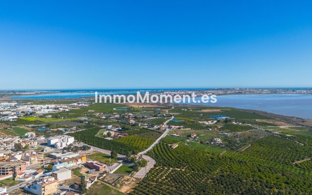 Resale - Apartment - Los Montesinos - Los Montesinos Centro