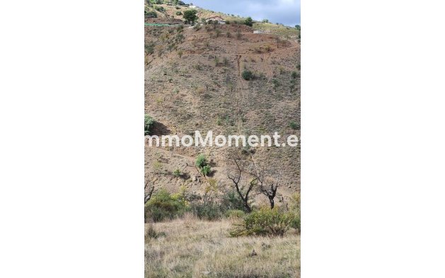 Reventa - Casa de campo - Interior  - Guaro