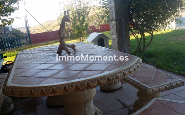 Reventa - Casa de campo - Interior  - Guaro