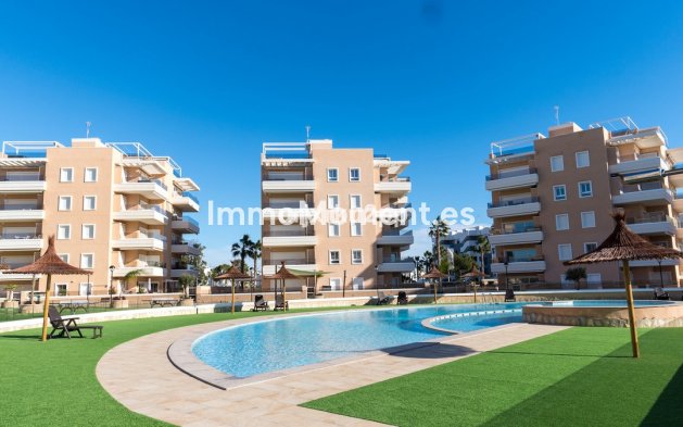 Resale - Apartment - Guardamar del Segura - Urbanización El Raso