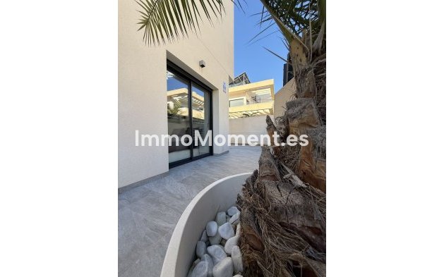 Resale - Villa - Los Montesinos - Los Montesinos Centro