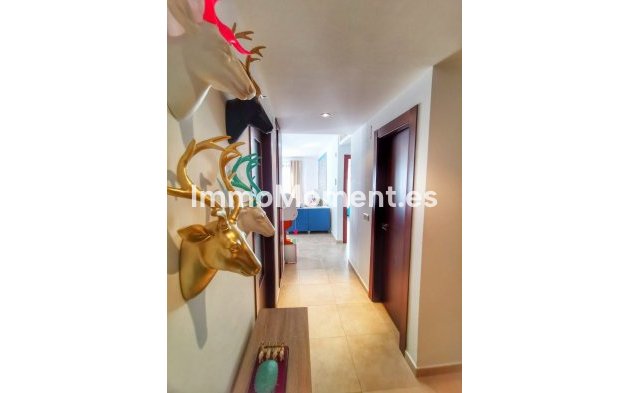 Resale - Apartment - Marbella - Altos de los Monteros