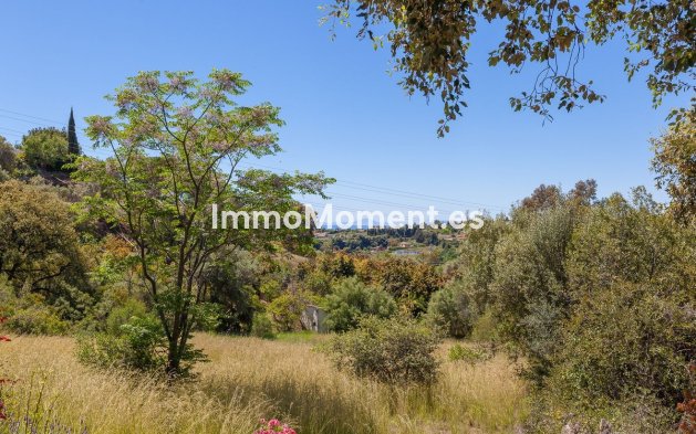 Resale - Villa - Estepona - Estepona Centro