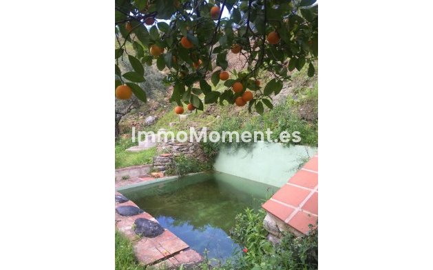 Reventa - Casa de campo - Interior  - Guaro