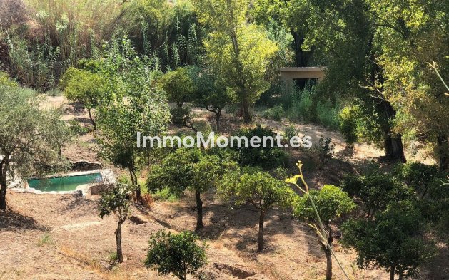 Reventa - Casa de campo - Interior  - Guaro