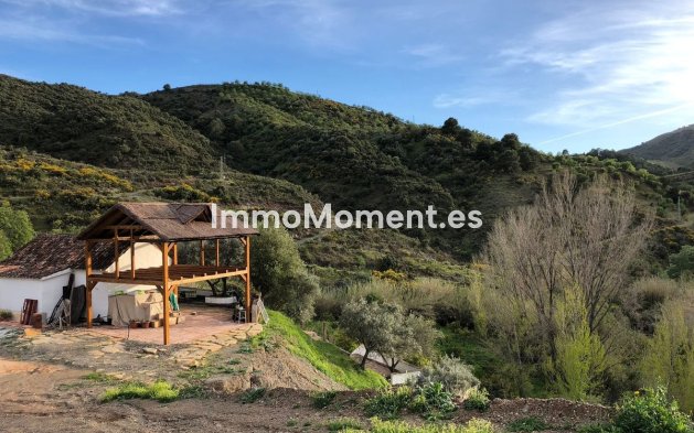 Reventa - Casa de campo - Interior  - Guaro