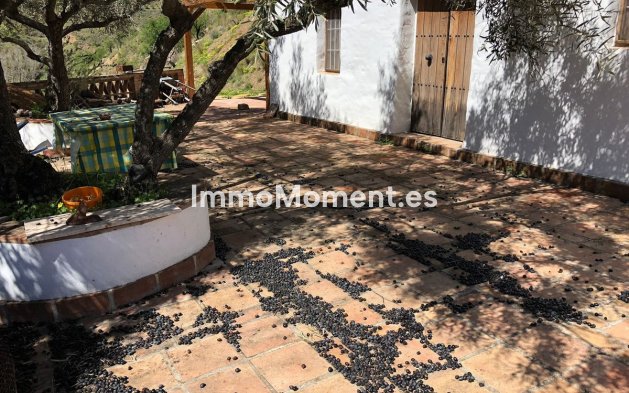 Reventa - Casa de campo - Interior  - Guaro