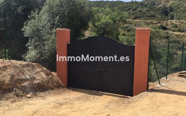 Reventa - Casa de campo - Interior  - Guaro