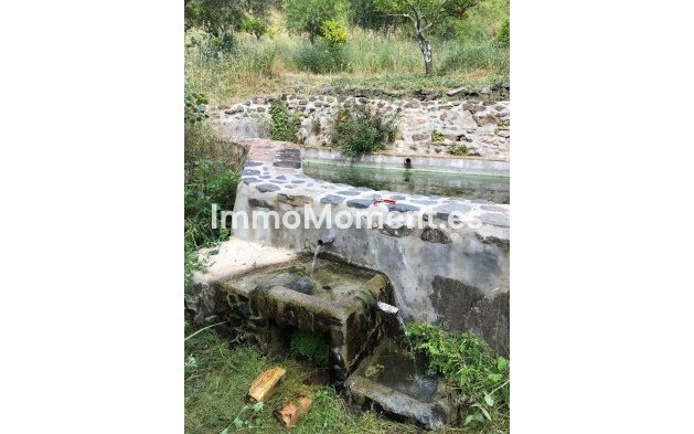 Reventa - Casa de campo - Interior  - Guaro