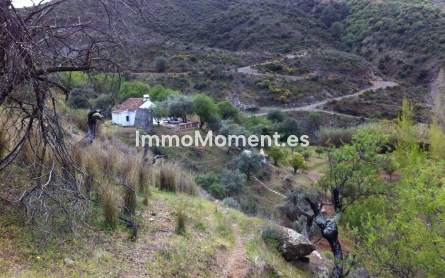 Reventa - Casa de campo - Interior  - Guaro