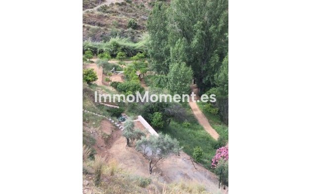 Reventa - Casa de campo - Interior  - Guaro