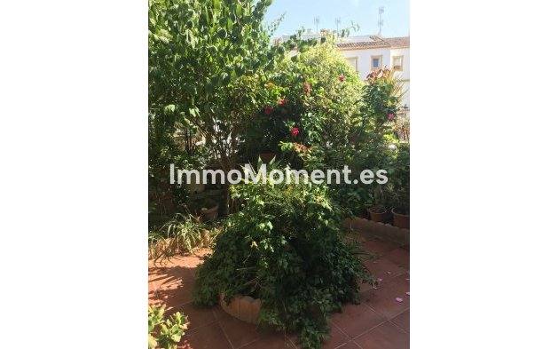 Revente - Maison mitoyenne - Estepona  - Estepona Centro
