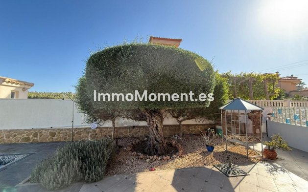 Revente - Villa - San Miguel de Salinas - San Miguel de Salinas Centro