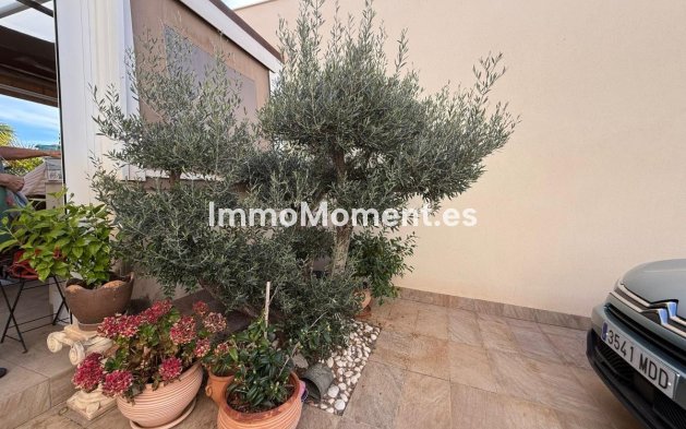 Revente - Villa - Los Montesinos - Los Montesinos Centro