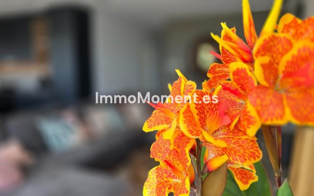 Revente - Villa - Los Montesinos - Los Montesinos Centro